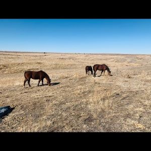 Meet your Posher, Meghann